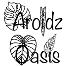 AroidzOasis